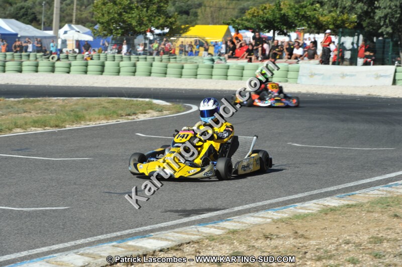 DSC (2520).JPG